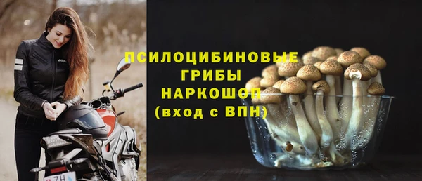 гидра Абдулино