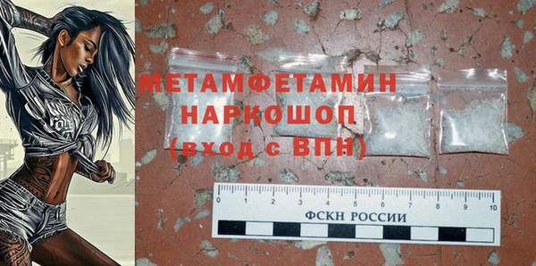 прущие грибы Заволжье