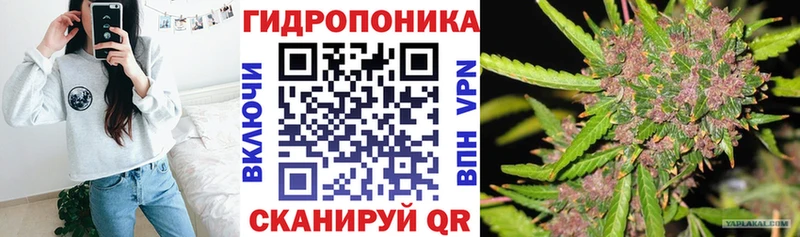 Бошки Шишки ГИДРОПОН  МЕГА зеркало  Чкаловск  купить  цена 